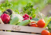 P U poseti proizvođaču – Biofarma Šokšić biofarma zrenjanin