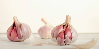 Kvalitet i bezbednost hrane – zašto organski proizvodi? Čuvanje lukova tokom zime