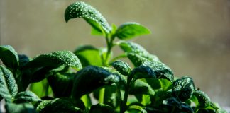 Planom do dobre organizacije Planom do dobre organizacije