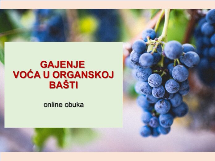 FB GAJENJE VOĆA novembar 2020.