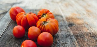 Šta se može brati u septembru paradajz