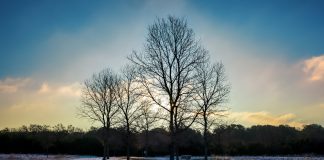 Predavanje u Zrenjaninu zima u ravnici