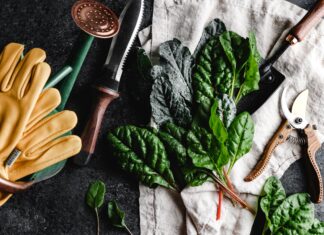 Č Briga o baštenskom alatu organska basta