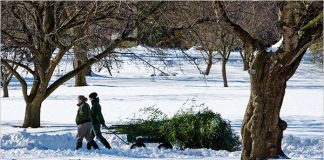 Radovi u decembru zima