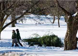 Radovi u decembru zima