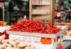 Radovi u bašti tokom septembra – berba organskog povrća i voća paprika