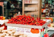 Radovi u bašti tokom septembra – berba organskog povrća i voća paprika