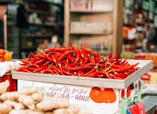 Radovi u bašti tokom septembra – berba organskog povrća i voća paprika