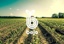 P Organska semena Bejo Zaden