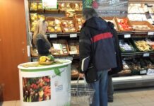 P Besplatne konsultacije