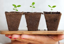 Bašta u proleće Kompostiranje