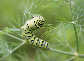 Ko bere plodove vašeg rada? Ko bere plodove vašeg rada