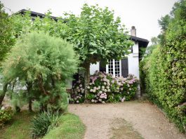 Dom je okosnica života organska basta