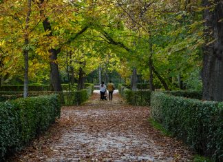 Tipovi ograda i njihov uticaj na mikroklimu Značaj ograda