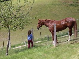 Istinsko zadovoljstvo i sreća su preduslov zdravlja Istinsko zadovoljstvo i sreća
