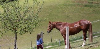 Istinsko zadovoljstvo i sreća su preduslov zdravlja Istinsko zadovoljstvo i sreća