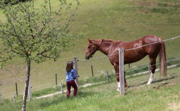 Istinsko zadovoljstvo i sreća su preduslov zdravlja Istinsko zadovoljstvo i sreća