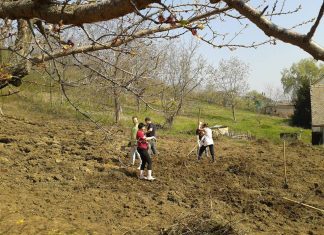 U Baštalištu tokom jula Snezana Ognjenovic