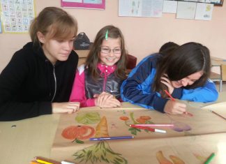 Urađen priručnik za đake i njihove roditelje – Organska bašta Priručnik Organska bašta