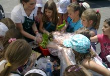 Festival organske proizvodnje – pijaca organske hrane u bloku 44 kids with organic food