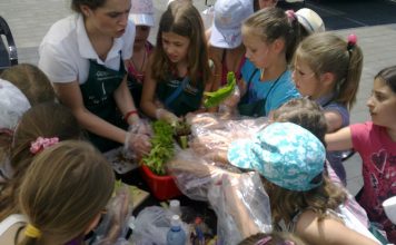 Povrće nije kao pre 50 godina kids with organic food
