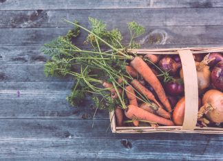 Radovi u novembru organska basta