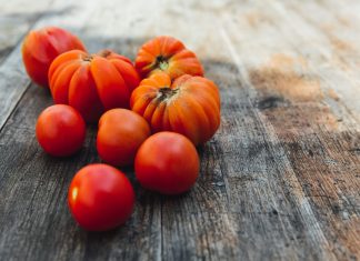 Šta se može brati u septembru paradajz