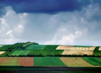 P Ovlašćene kontrolne organizacije za kontrolu i sertifikaciju organske proizvodnje land