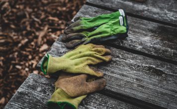 P Ljuta lekovita i začinska biljka garden