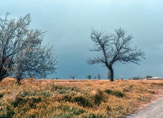 Izrada visoke kineske leje u jesen fild