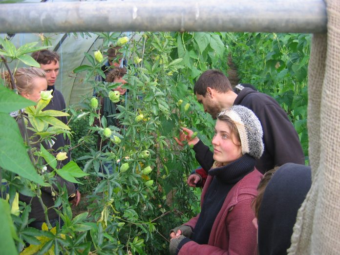 Biodinamic farm Serbia