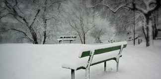 P Kad proleće kasni winter in garden