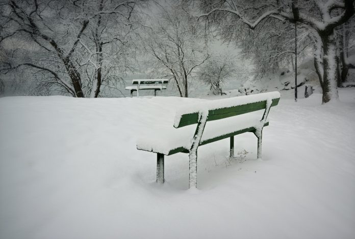 vidar-nordli-mathisen-9aVERfNAMBU-unsplash winter in garden