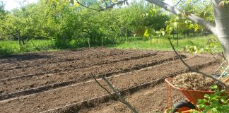 P Škola organskog baštovanstva – održana radionica tokom vikenda priprema bašte