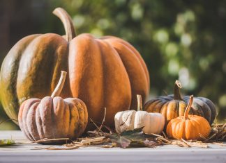 Bašta tokom oktobra muskatna tikva