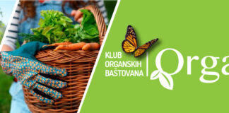 P Klub organskih bastovana – naše bašte klub organskih