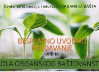 PP Uvodno online predavanje pred početak prolećne škole predavanje Snezana Ognjenovic