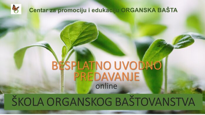 BESPLATNO UVODNO PREDAVANJE predavanje Snezana Ognjenovic